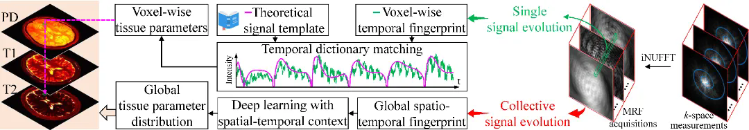 beat365在线体育app