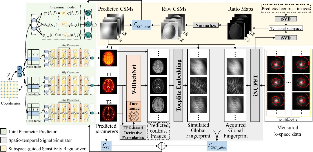 beat365在线体育app