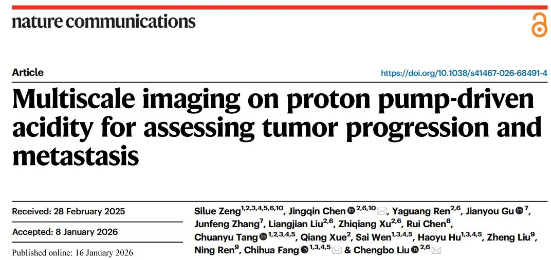 beat365在线体育app