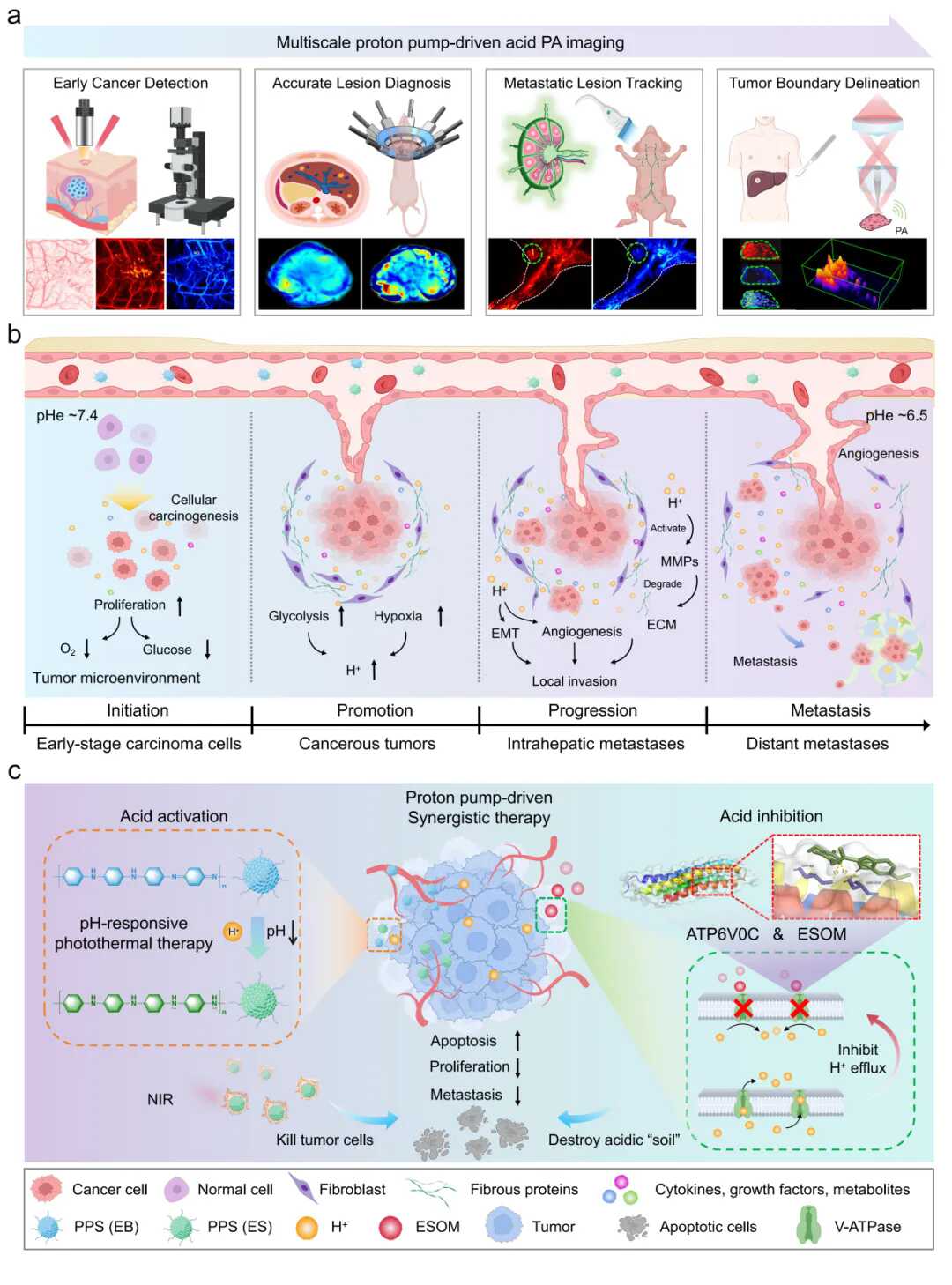 beat365在线体育app