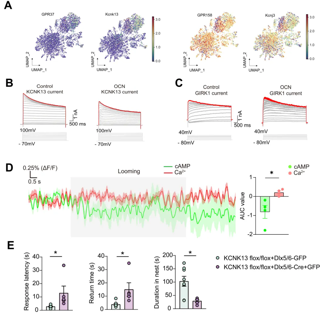 beat365在线体育app