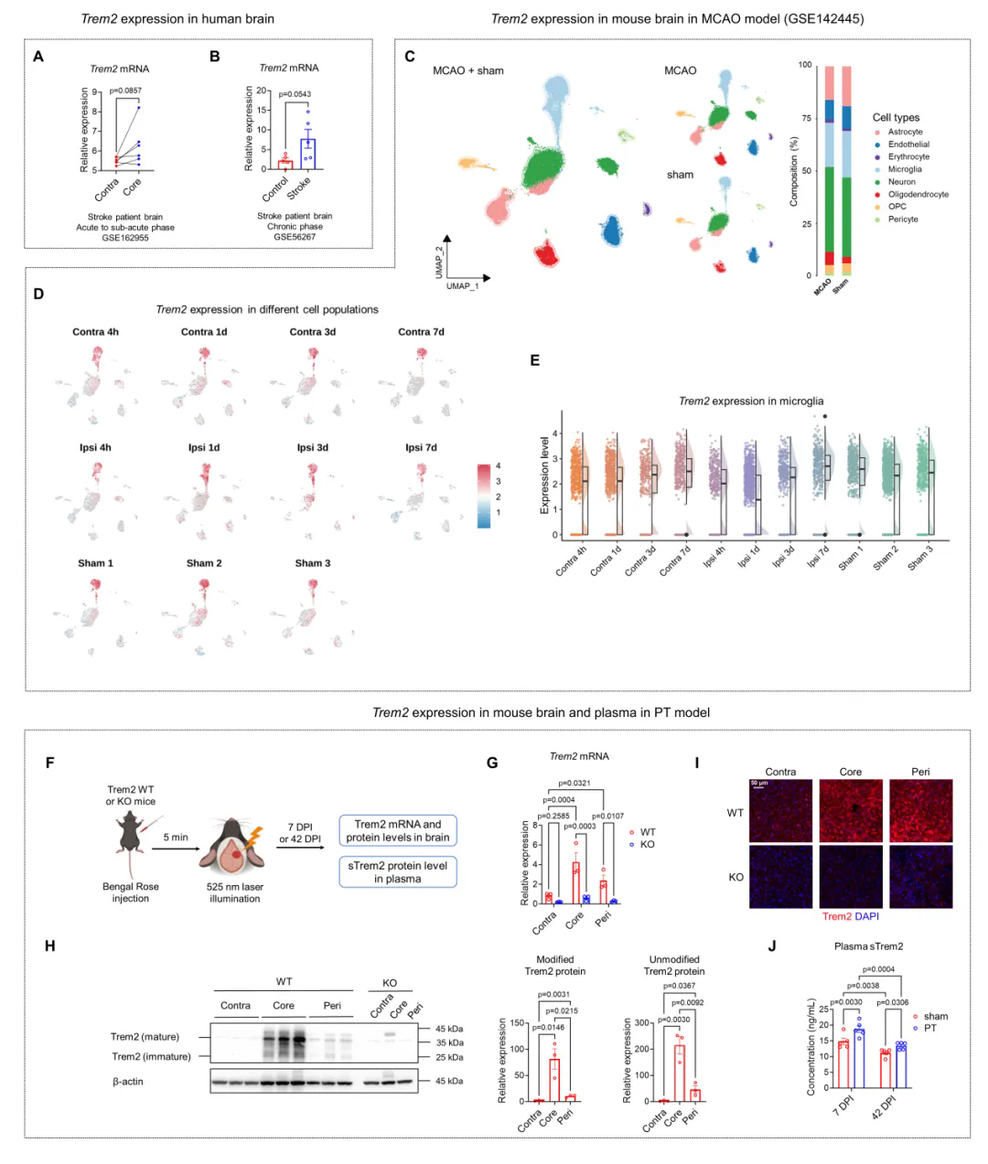 beat365在线体育app