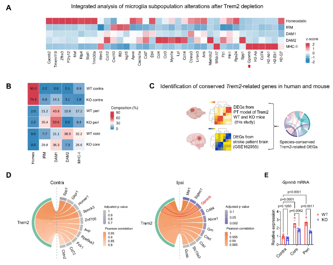 beat365在线体育app