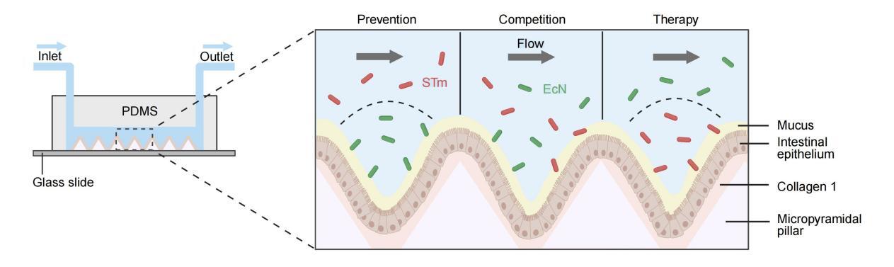 beat365在线体育app