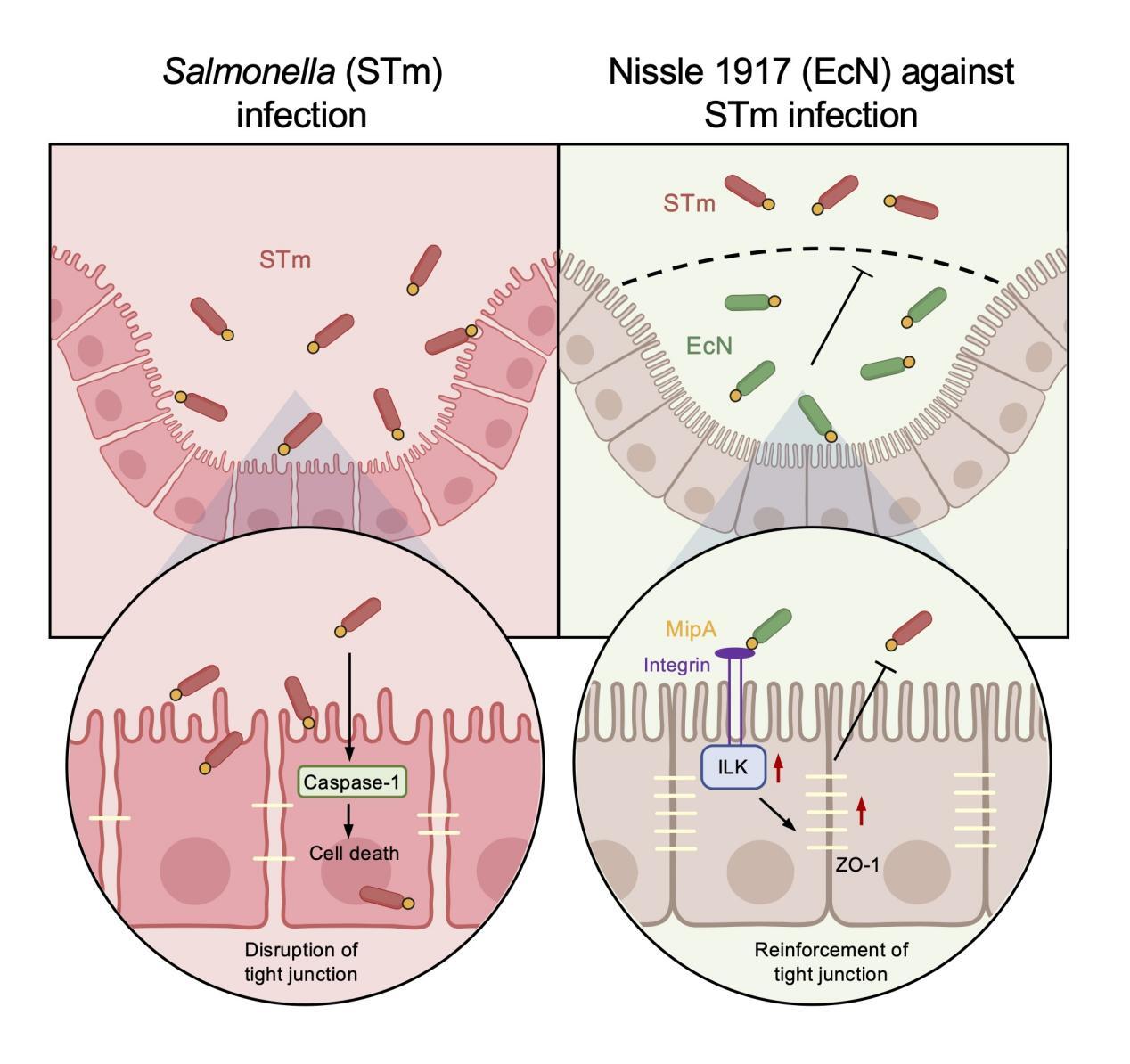 beat365在线体育app