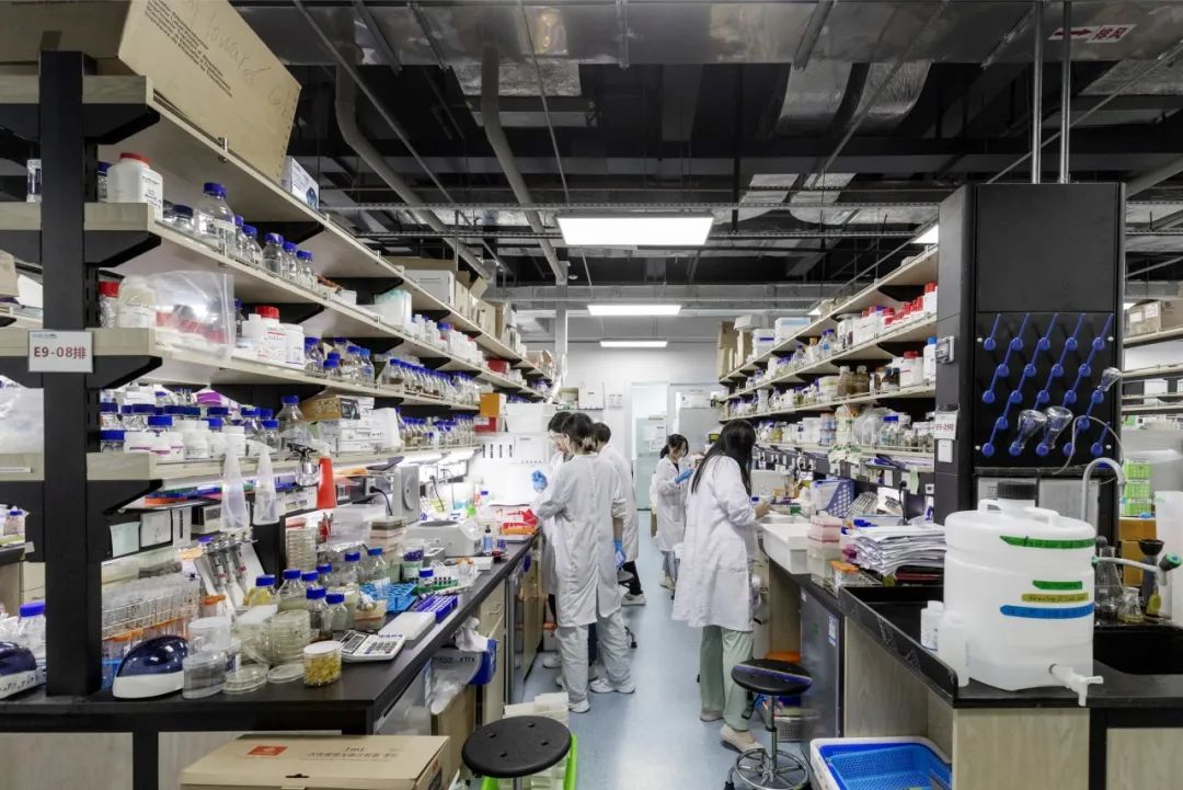 beat365在线体育app