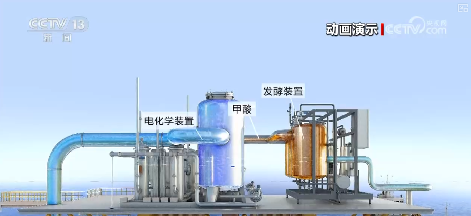 beat365在线体育app