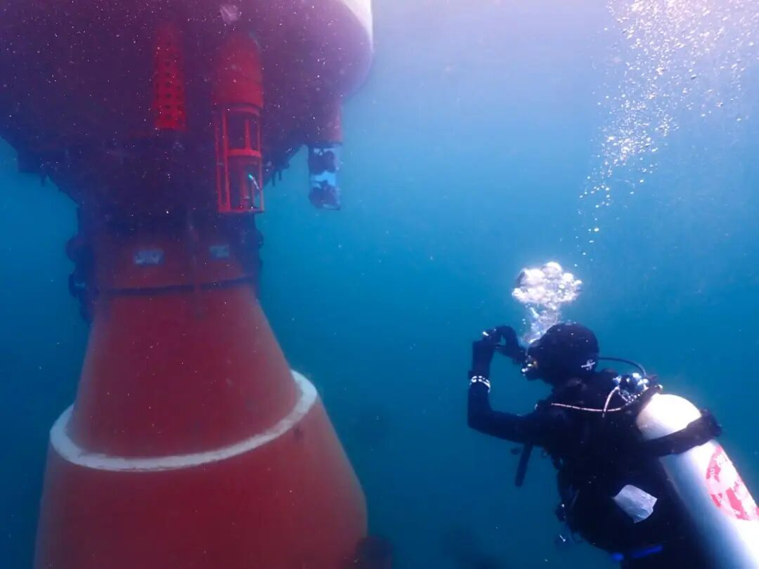 beat365在线体育app