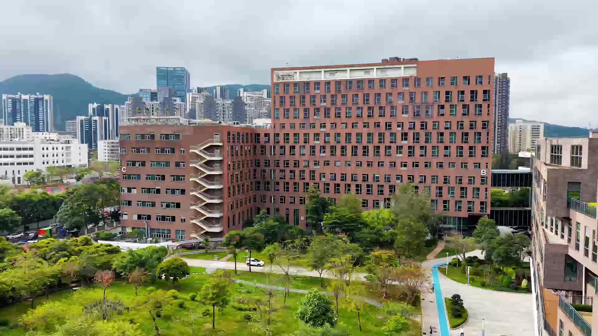 beat365在线体育app