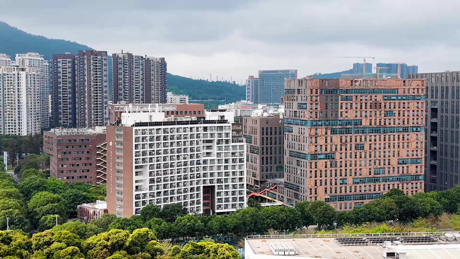 beat365在线体育app