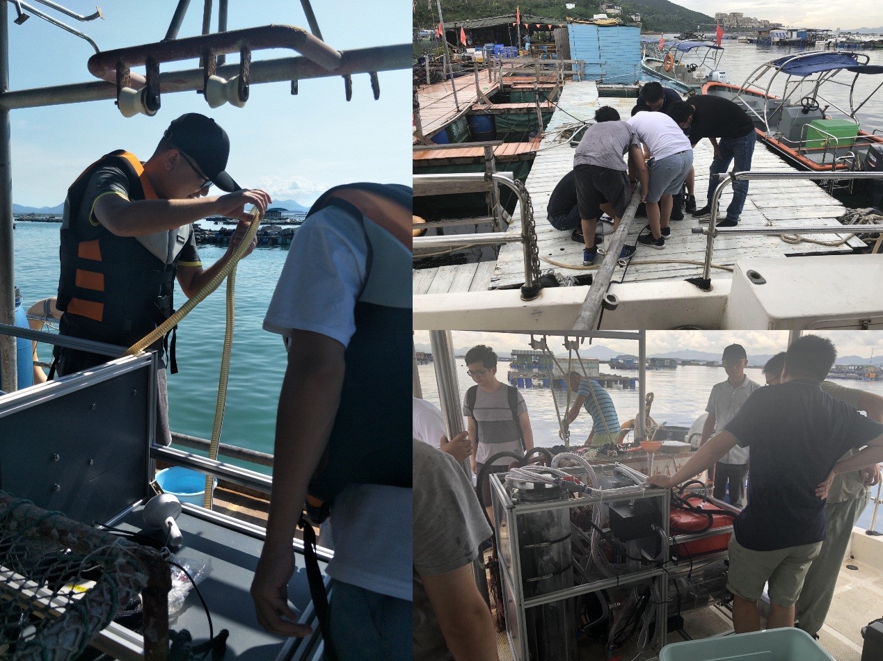 beat365在线体育app