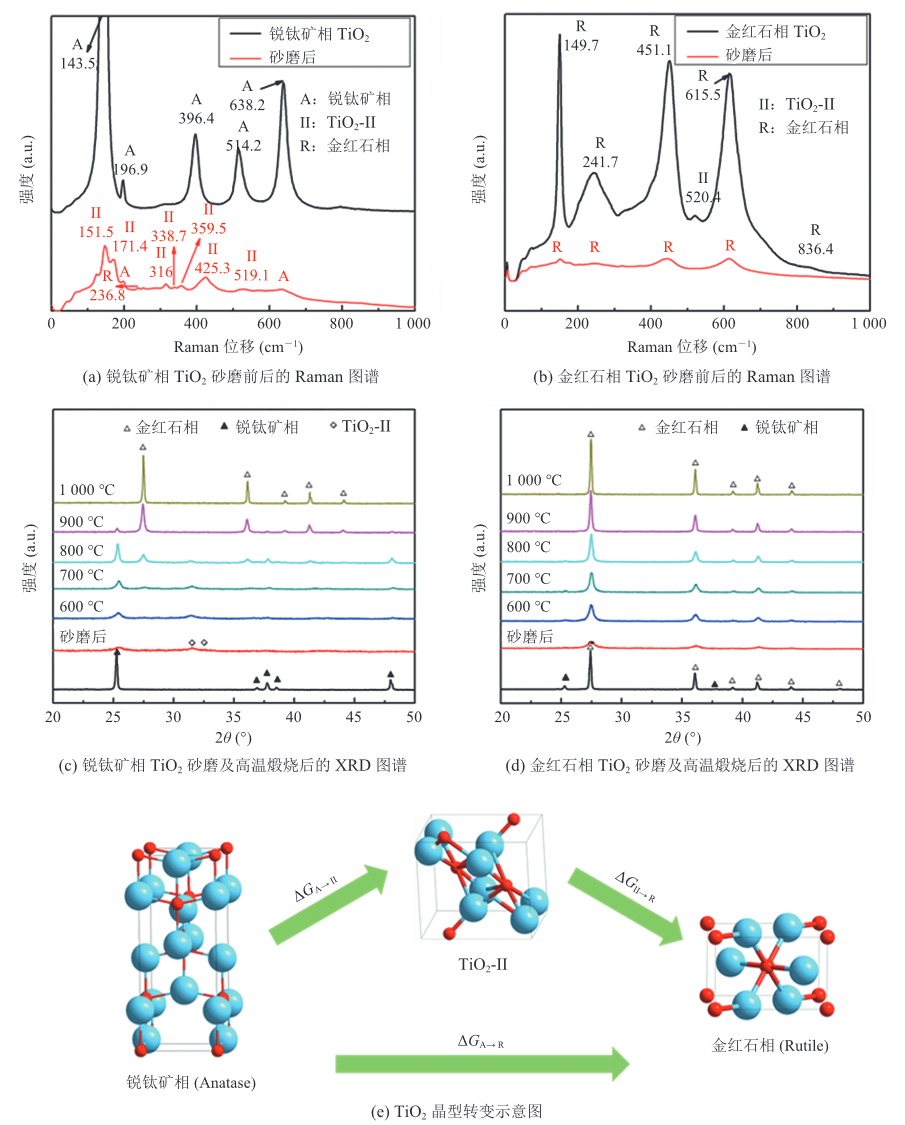beat365在线体育app