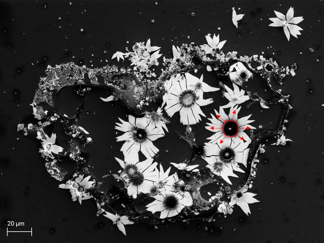 beat365在线体育app