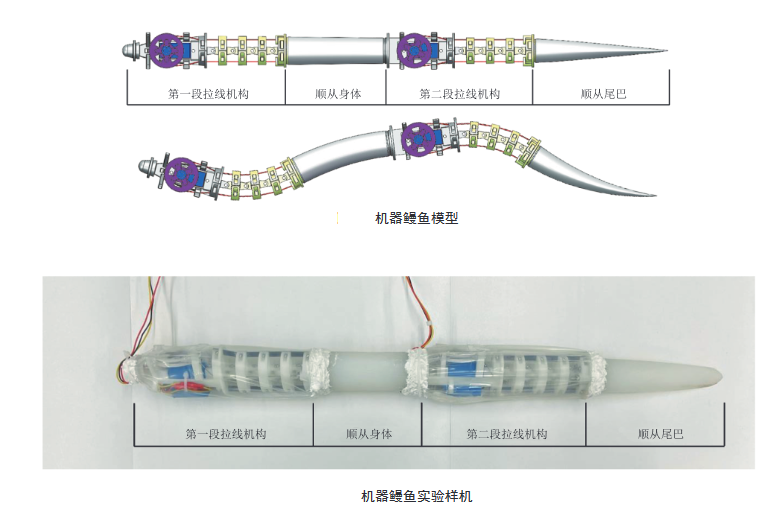 beat365在线体育app
