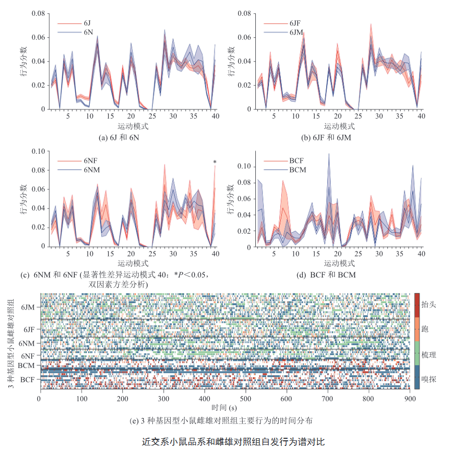 beat365在线体育app