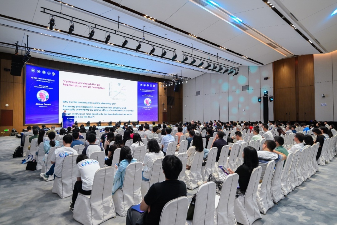 beat365在线体育app