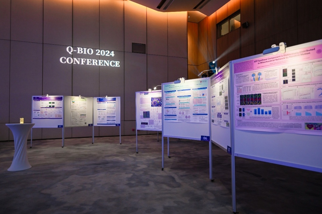 beat365在线体育app