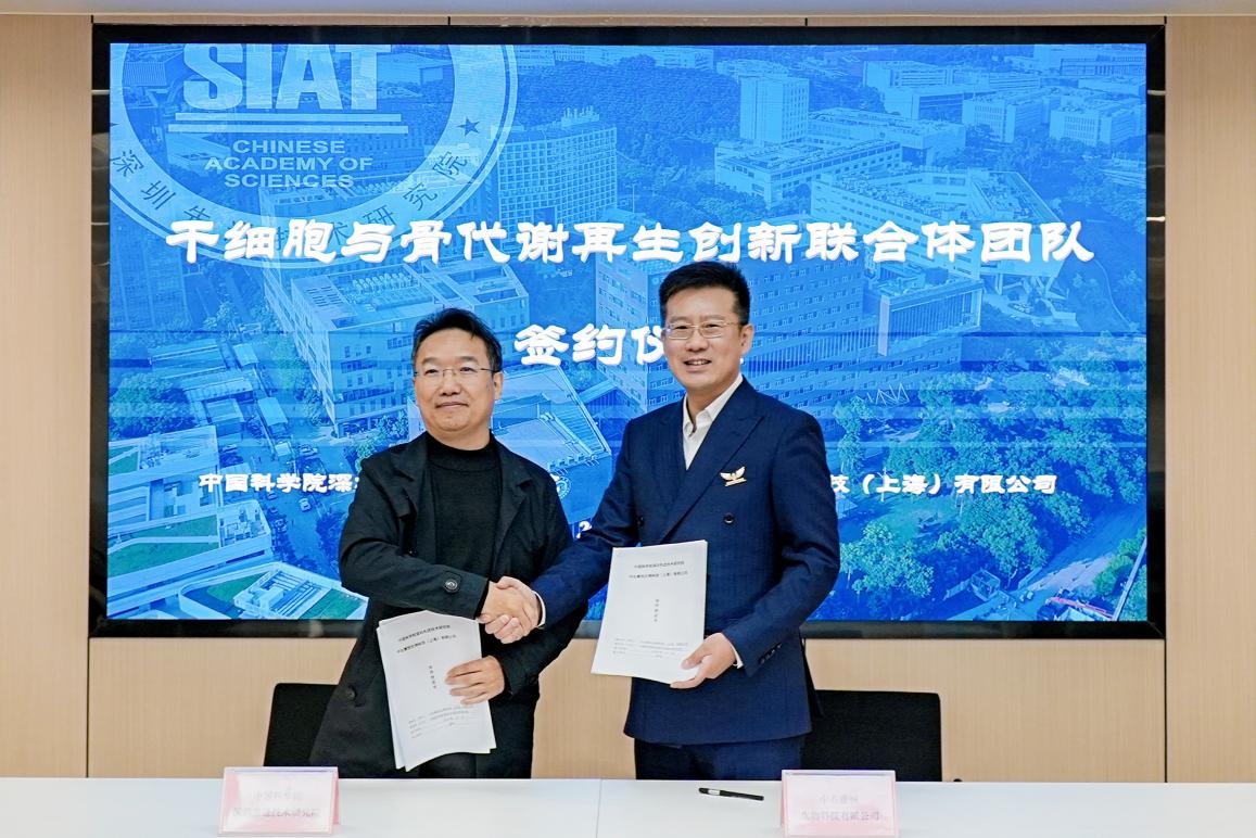 beat365在线体育app