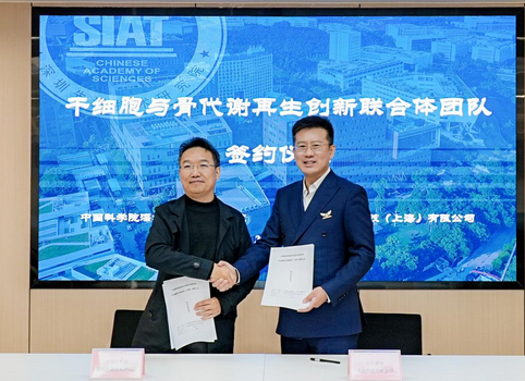 beat365在线体育app