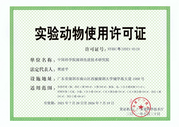 beat365在线体育app