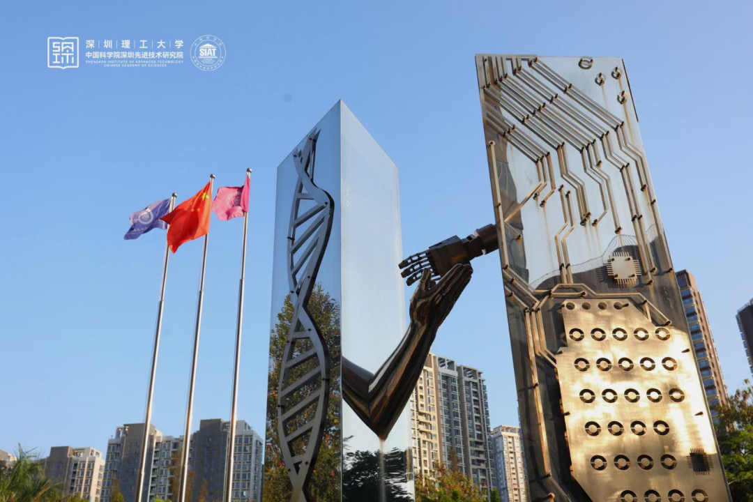 beat365在线体育app