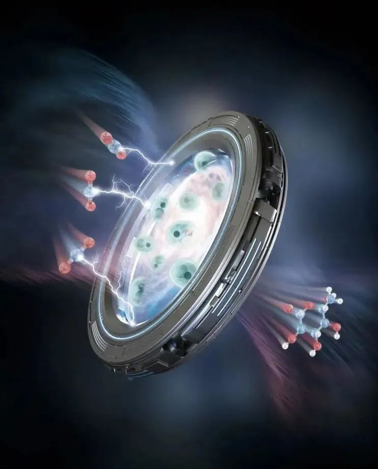 beat365在线体育app