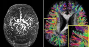 beat365在线体育app