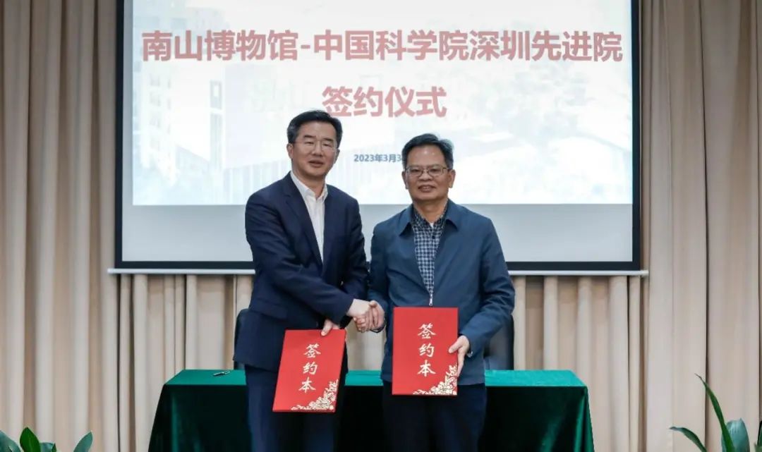 beat365在线体育app