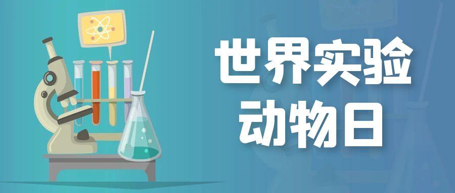 beat365在线体育app