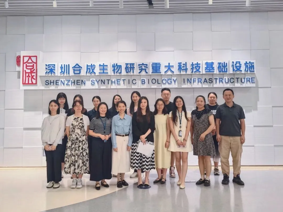 beat365在线体育app