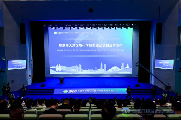 beat365在线体育app