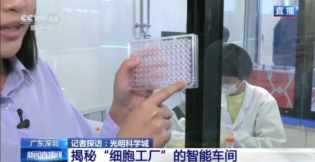 beat365在线体育app