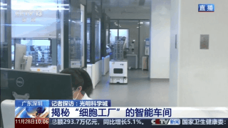 beat365在线体育app