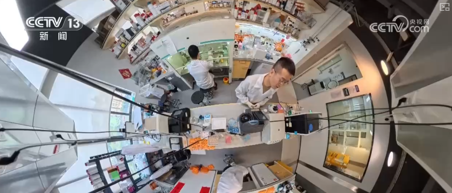 beat365在线体育app