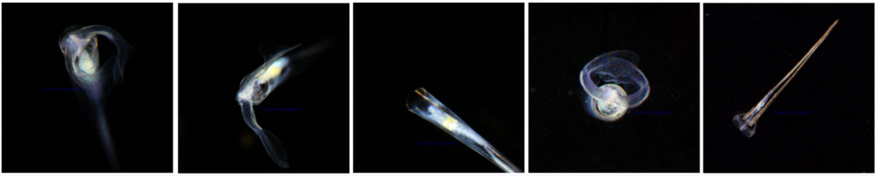 beat365在线体育app