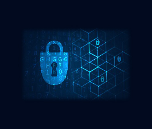 beat365在线体育app