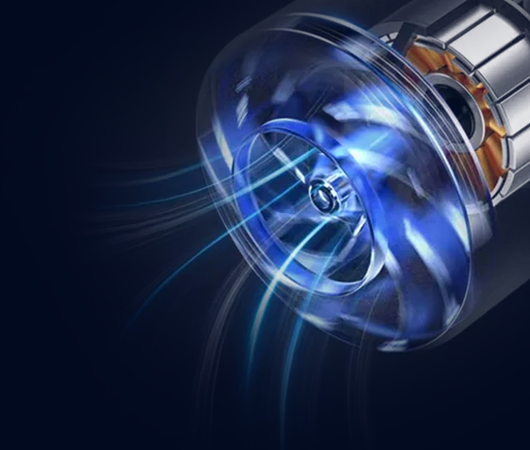 beat365在线体育app