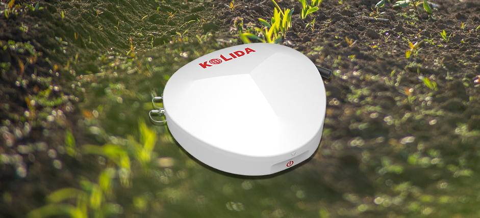 beat365在线体育app