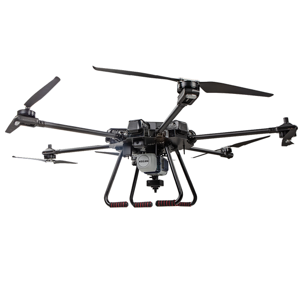 beat365在线体育app