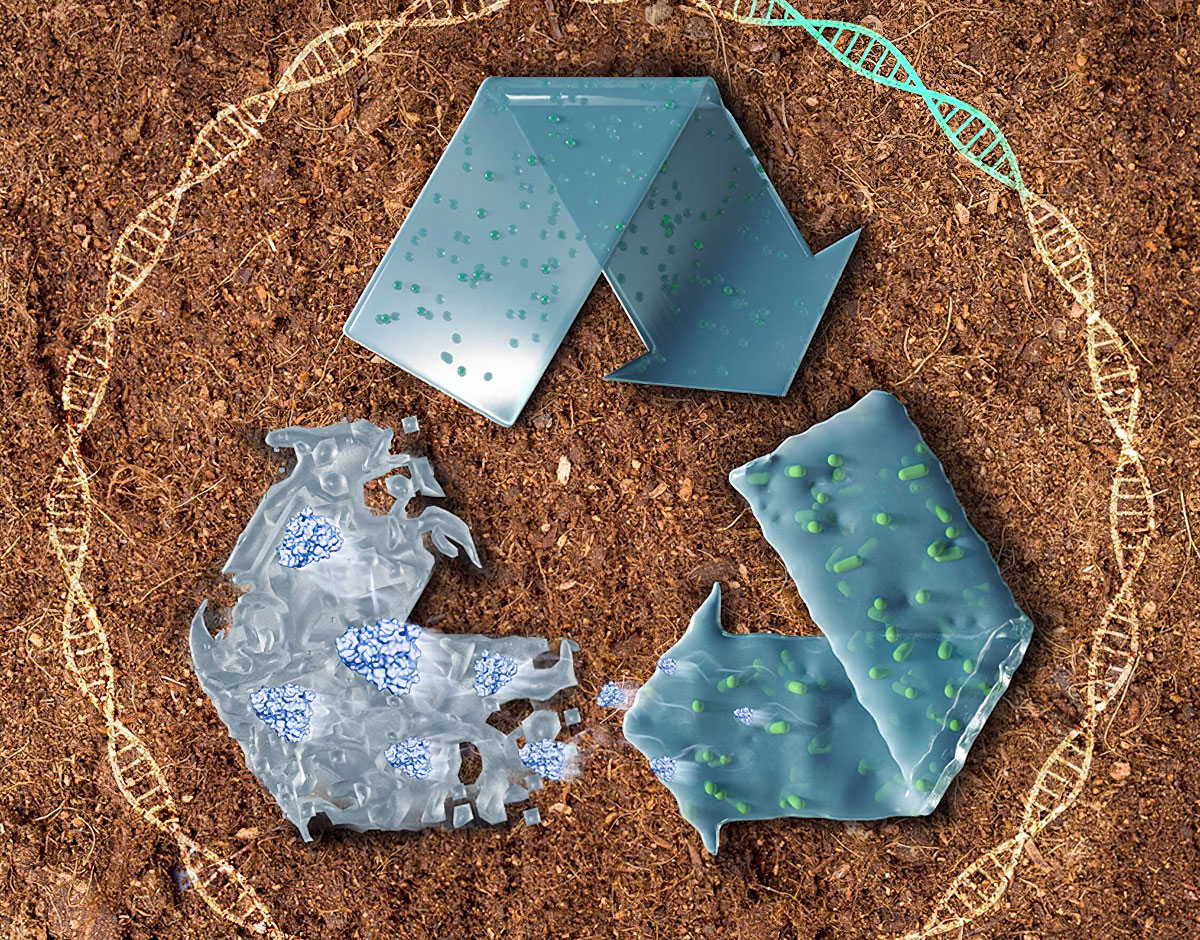 beat365在线体育app