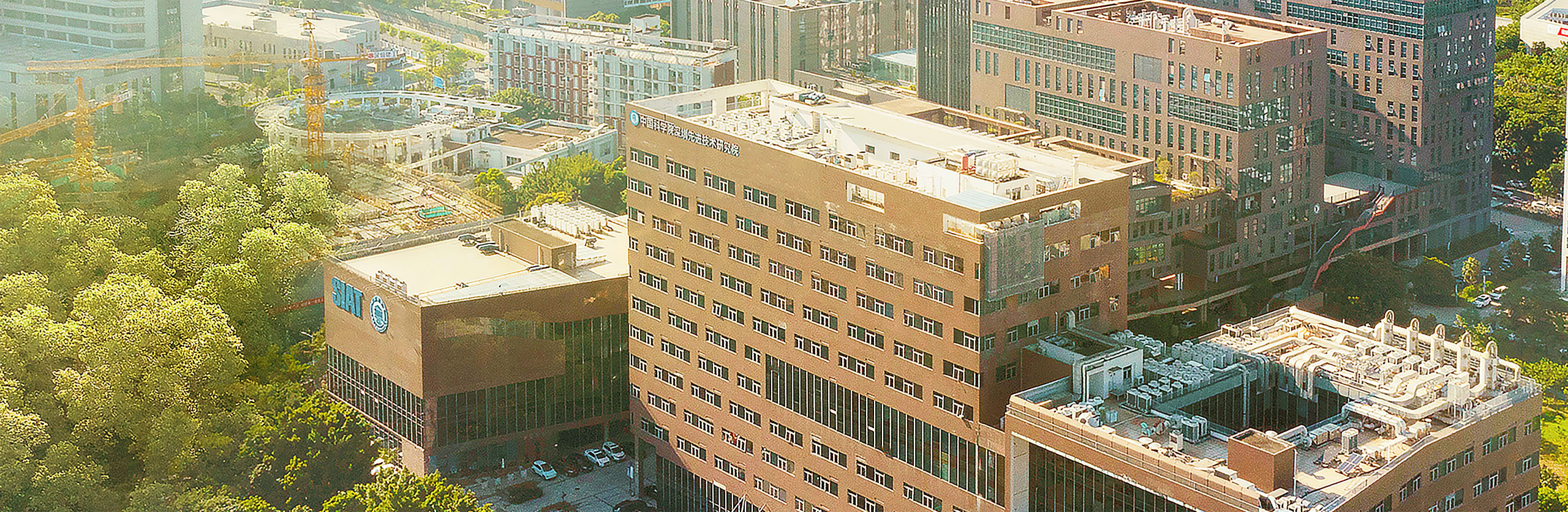 beat365在线体育app