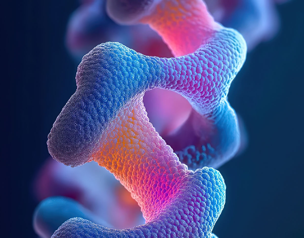 beat365在线体育app