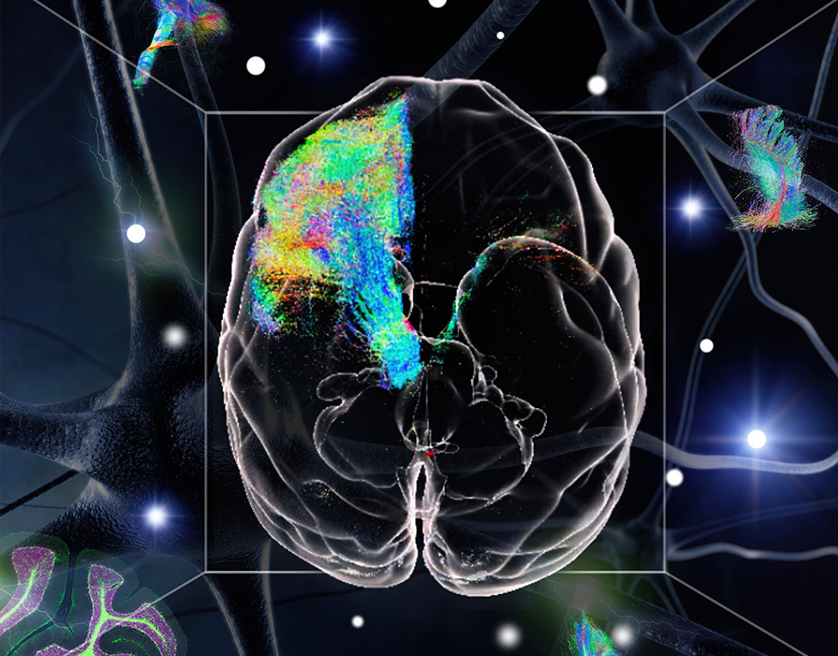 beat365在线体育app