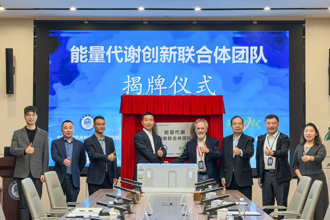 beat365在线体育app