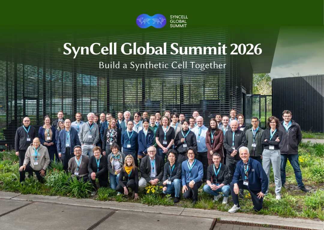 beat365在线体育app