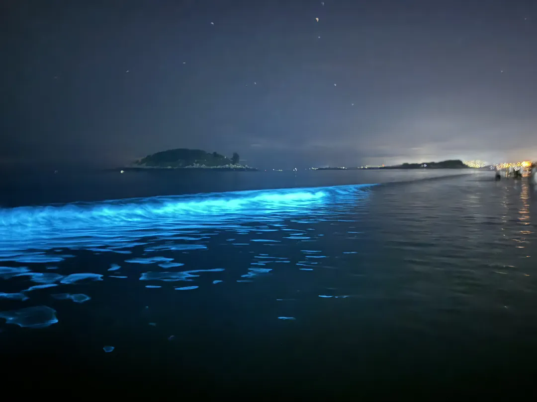 beat365在线体育app