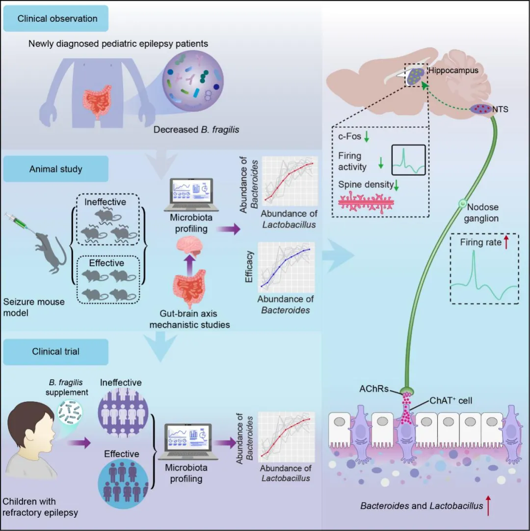 beat365在线体育app