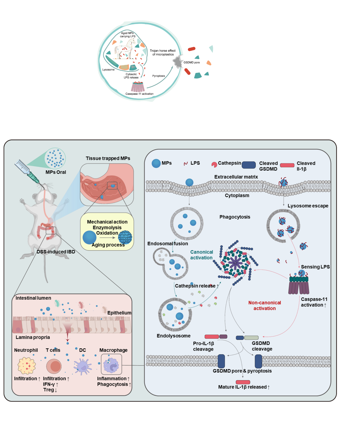 beat365在线体育app