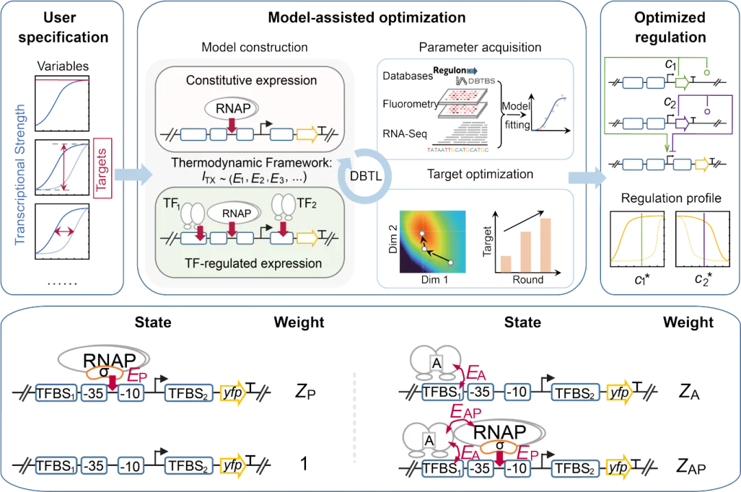 beat365在线体育app