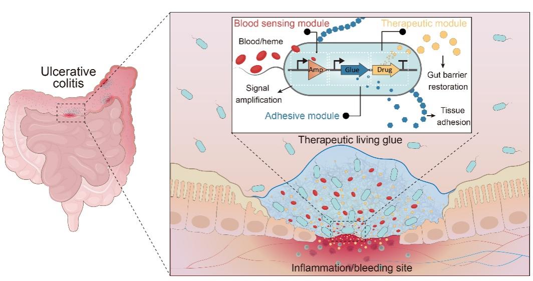 beat365在线体育app